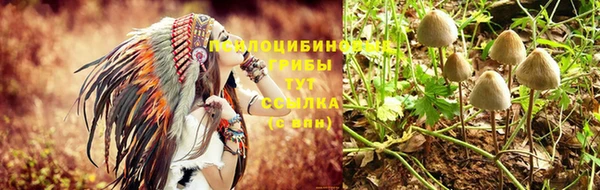 гашишное масло Касимов